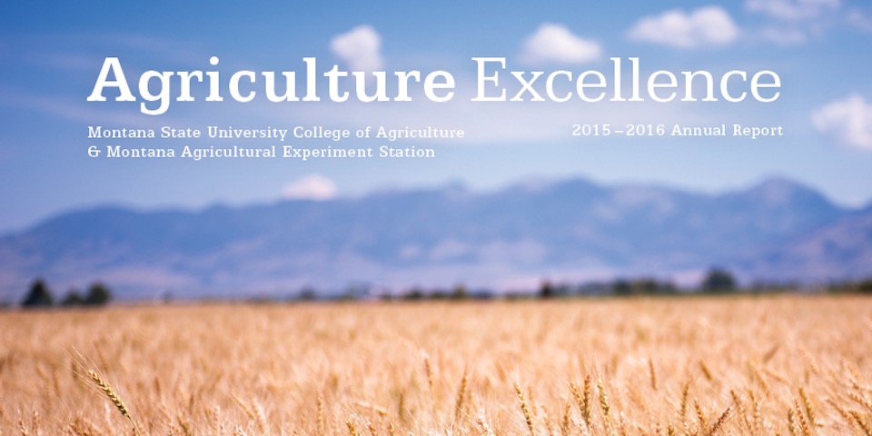 Agriculture Excellence 2015-16 Cover